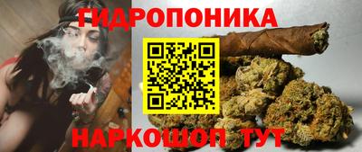 марки lsd Новозыбков