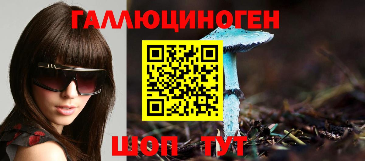 Симферополь  Псилоцибиновые грибы Psilocybe  Вход с VPN 